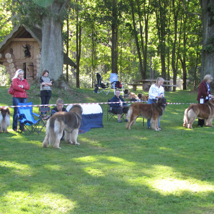 males champion class ring