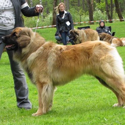 male junior class- 1 place