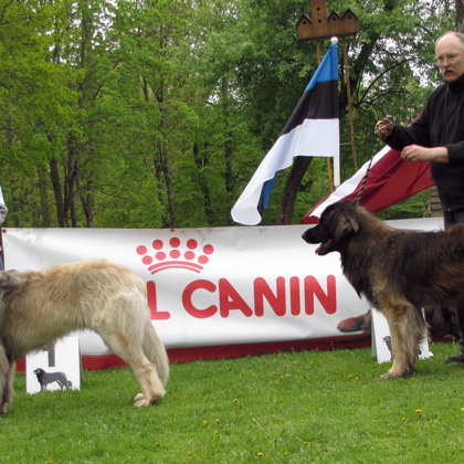 intermedia male class winners