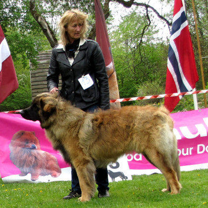 junior male class-2 place