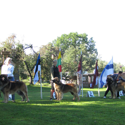 males open class winners