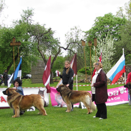 Best Male ring winners