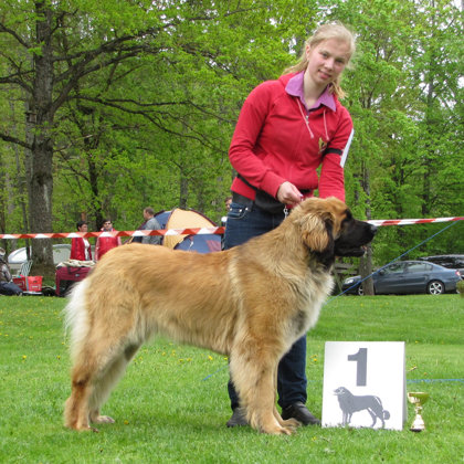 female junior class winner