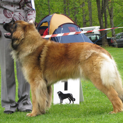 female open class winner