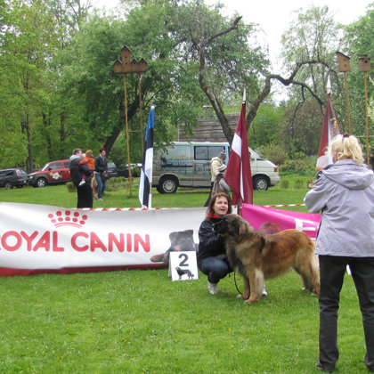 females champion class winners