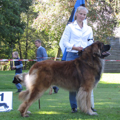 male champion class winner , BM-3