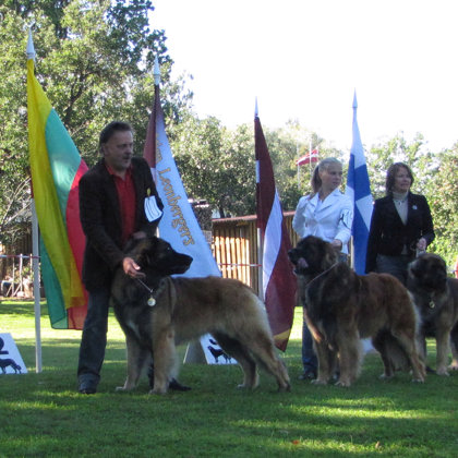 Best Male ring winners