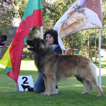 male champion class-2