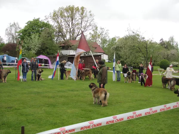 LATVIJAS ZELTA LEONBERGERS'2015