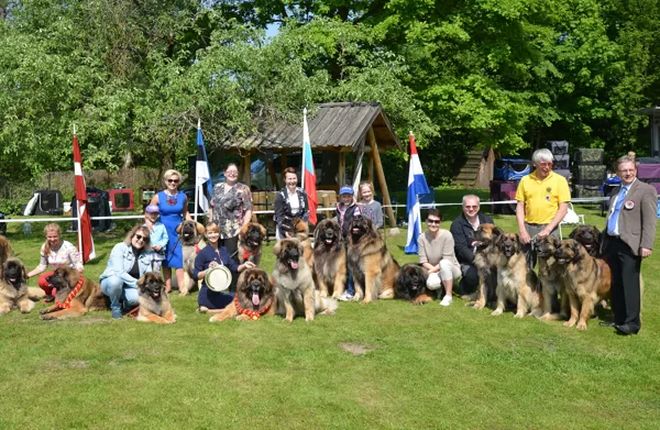 LATVIAN GOLDEN LEONBERGER'2016