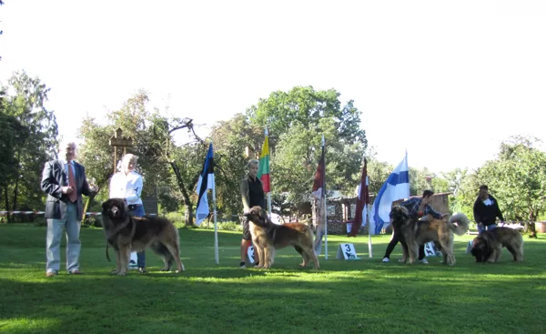 males open class winners