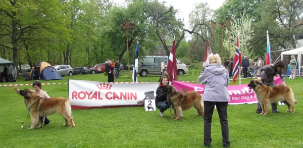 females champion class winners