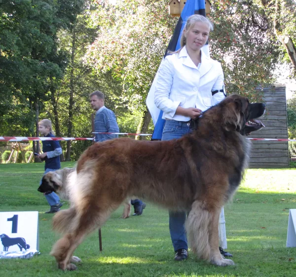 male champion class winner , BM-3