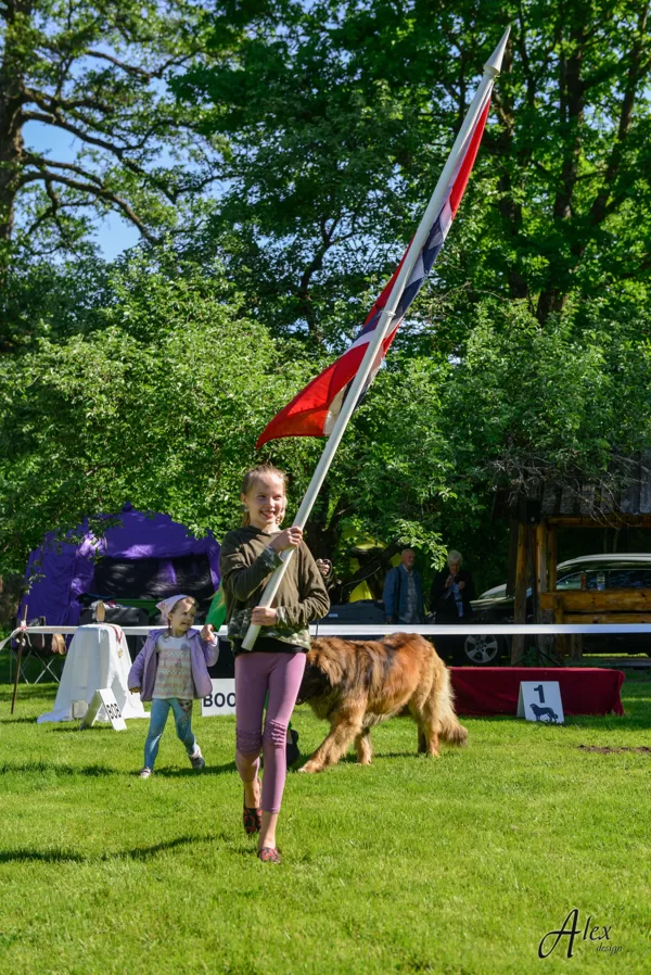LATVIAN GOLDEN LEONBERGER'2018