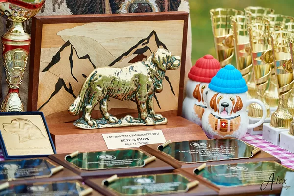 LATVIAN GOLDEN ST.BERNARD'2019