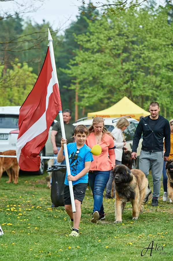 LATVIAN GOLDEN LEONBERGER'2019