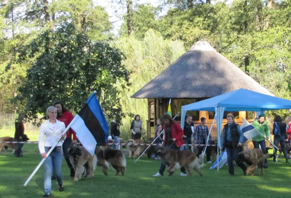 LATVIAN AMBER LEONBERGER-2011