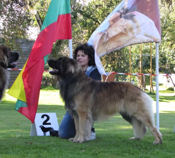 male champion class-2