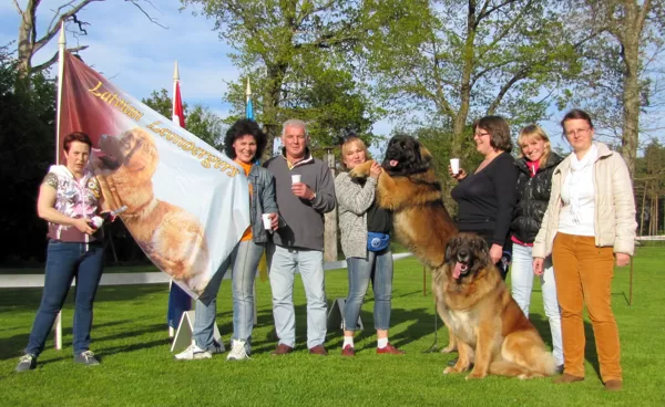 LATVIAN GOLDEN LEONBERGER-2014