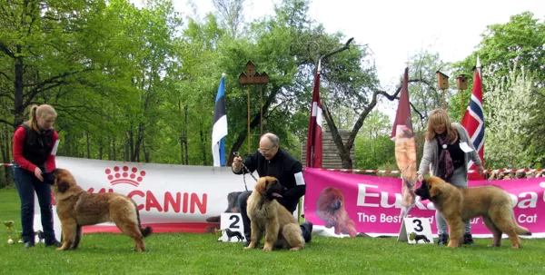 male baby class winners